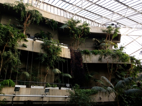 The Barbican Conservatory: where urban and concrete jungle collide. 